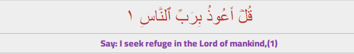 learn quran online