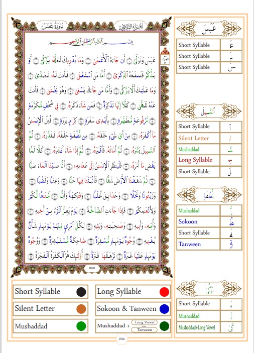 learn quran online