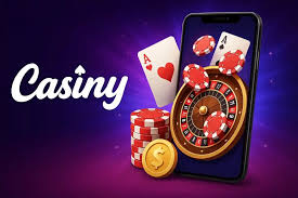 Comprehensive Insight into Casiny Casino Review 48